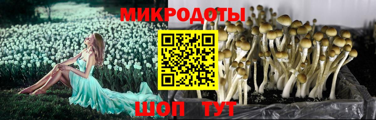 Галлюциногенные грибы Magic Shrooms  Вход с VPN  Унеча 